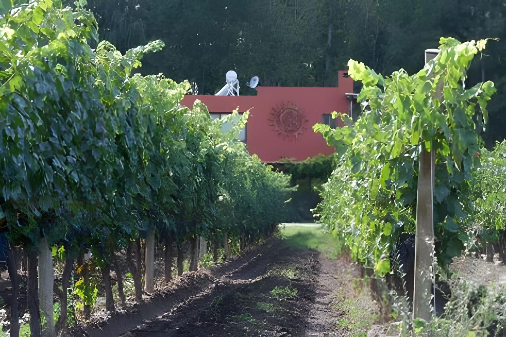 Finca Ogawa Los Sauces  Exterior photo